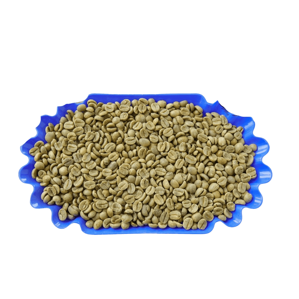 Green Coffee Beans - Arabica